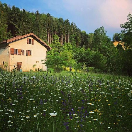 Alla Casetta B&B Cesiomaggiore エクステリア 写真